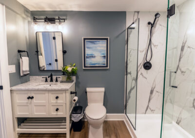 Full Basement Bathroom Renovation in Medina